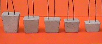 Click here to return to the RMCSPL home page